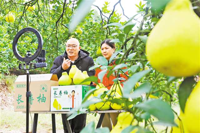 2025-04-23-0063 (1).jpg